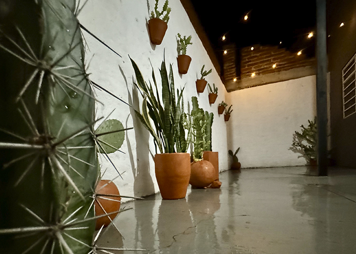 Patio Flats II